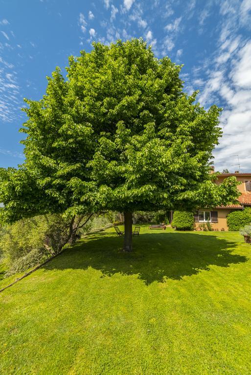 Sacrofano B&B Acque Lucenti المظهر الخارجي الصورة